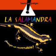 The Salamander